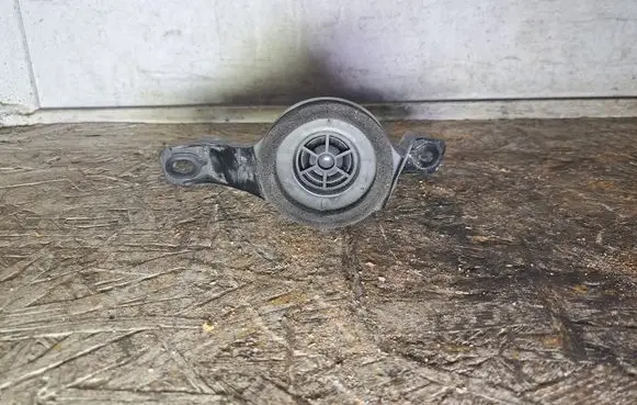 Toyota RAV 4 (XA30) Panel speaker 8616042130