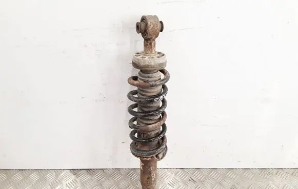 Peugeot 407 Rear shock absorber with coil spring 