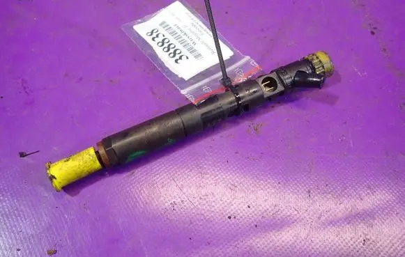 Renault Megane II Fuel injector 