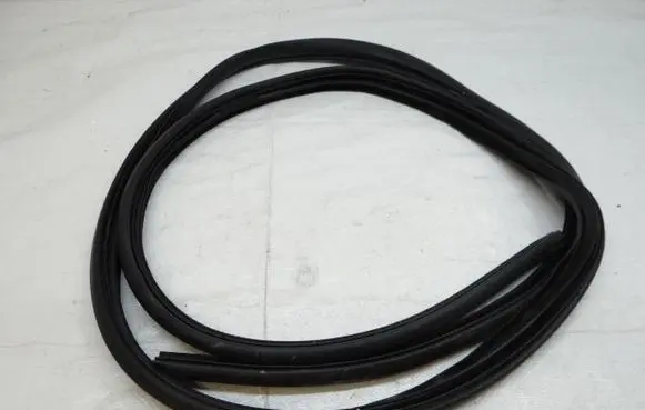 Citroen C4 Aircross Rubber seal front door (on door) 