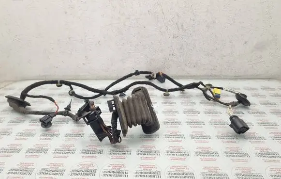 Volkswagen PASSAT B7 Front door wiring loom 3AC971120AF