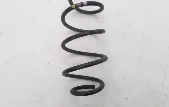 Front coil spring