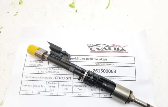 BMW 5 GT F07 Fuel injector 0261500063