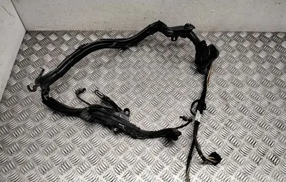 BMW X6 E71 Other wiring loom 7575580