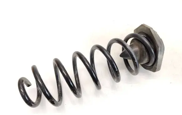 Nissan Qashqai Rear coil spring