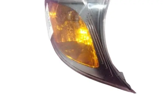 BMW X3 E83 Front indicator light 7165348