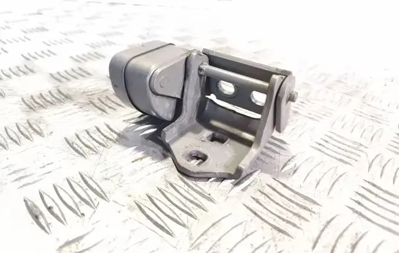 Renault Megane II Rear door lower hinge