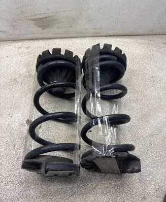 Rear coil spring