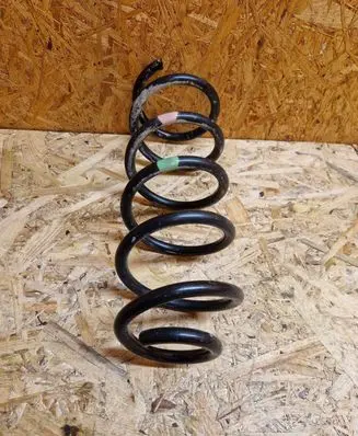 Rear coil spring