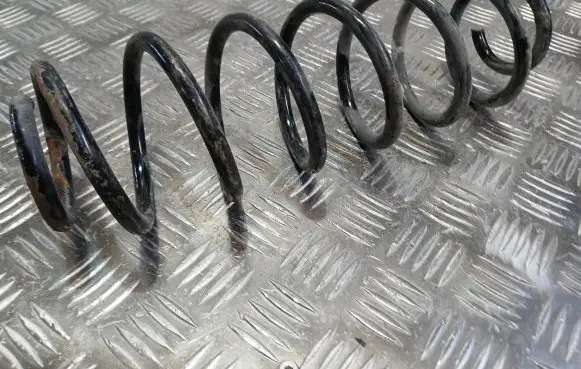 Volkswagen PASSAT B6 Rear coil spring