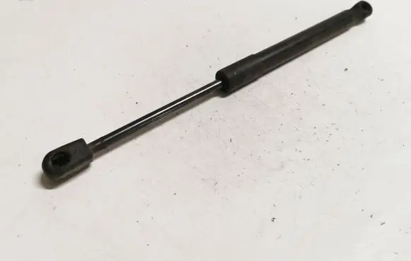 Ford Mustang VI Tailgate/trunk strut/damper FR3B63406A10BB