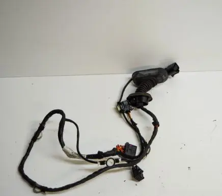 Rear door wiring loom