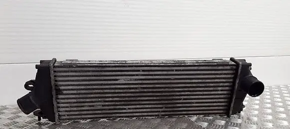 Renault Trafic II (X83) Intercooler radiator 8200411160c