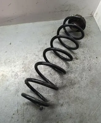 Seat Toledo II (1M) Rear coil spring