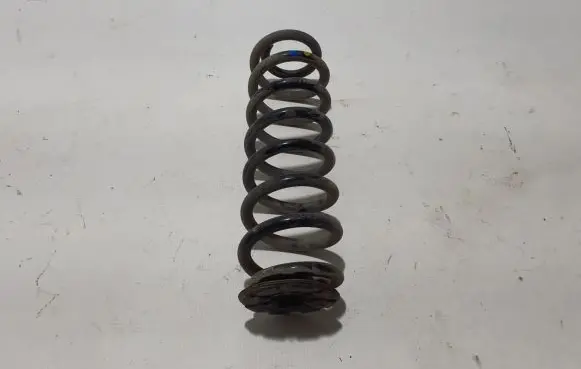 Dacia Spring Rear coil spring 550200356R