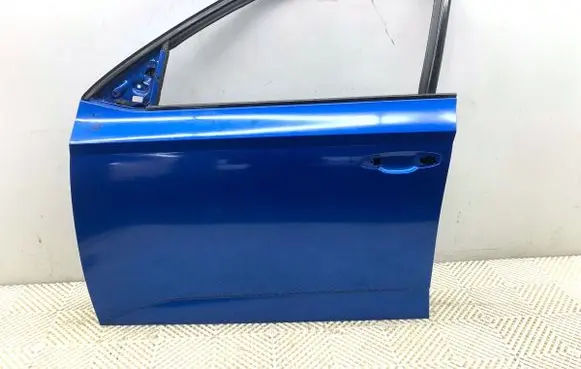 Skoda Fabia Mk3 (NJ) Front door 