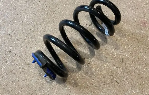 Rear coil spring