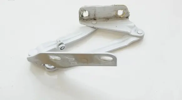 Volkswagen Tiguan Engine bonnet/hood hinges A9067500121