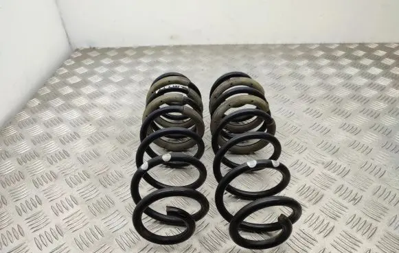Ford Ecosport Rear coil spring