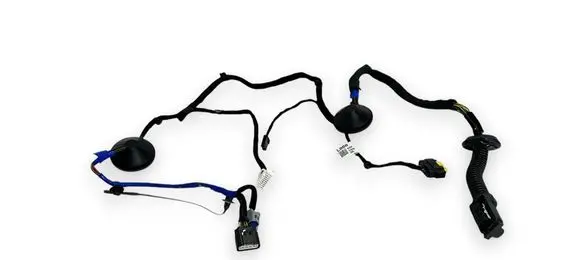 KIA EV6 Rear door wiring loom 91620CV600 50931