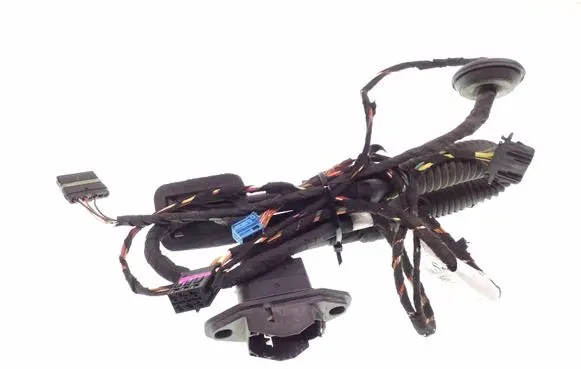Mercedes-Benz B W245 Rear door wiring loom A2514402809