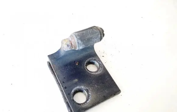BMW X5 E53 Rear door lower hinge