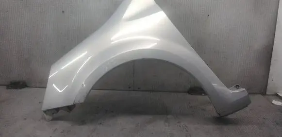 Renault Modus Fender