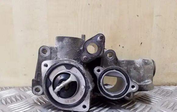 Thermostat/thermostat housing