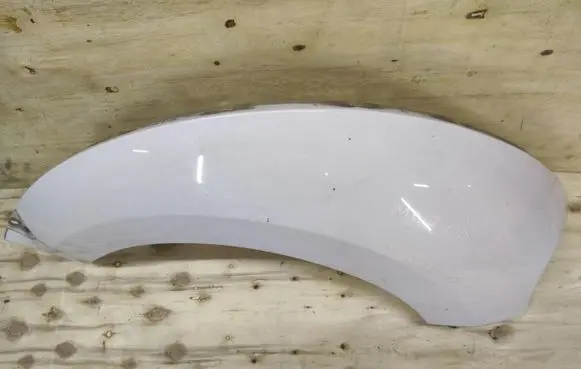 Volkswagen Beetle A5 Fender