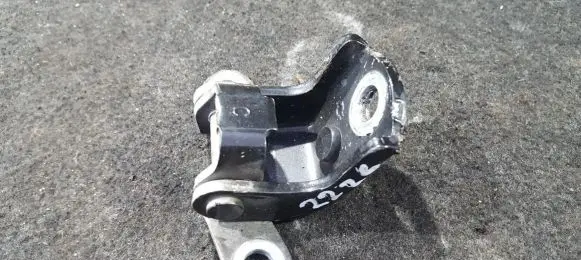 Chevrolet Tacuma Rear door lower hinge