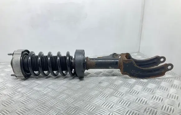 Volkswagen Touareg II Front shock absorber/damper 71861T 1069558