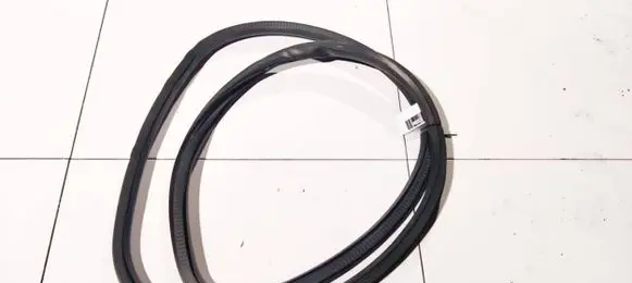 Opel Insignia A Rubber seal front coupe door 