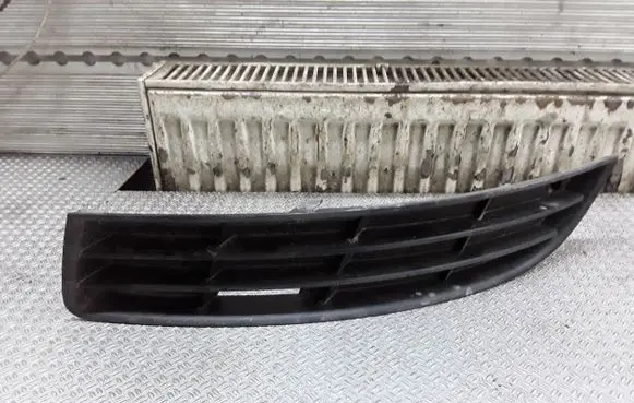 Volkswagen PASSAT B6 Front bumper lower grill 3C0853665