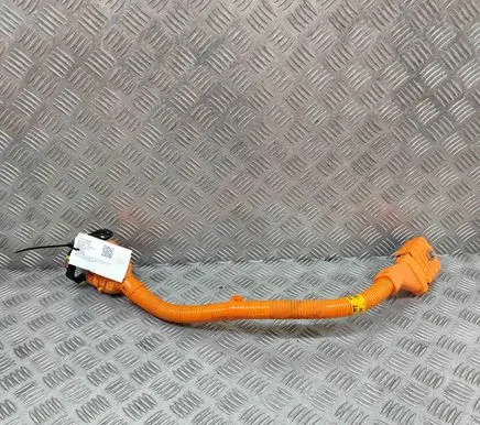 Hyundai Tucson IV NX4 Other wiring loom 91673P0100