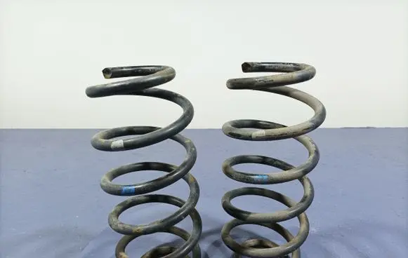 Toyota Urban Cruiser (XP110) Rear coil spring