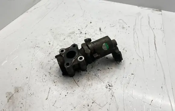Toyota RAV 4 (XA30) EGR valve 2562026092