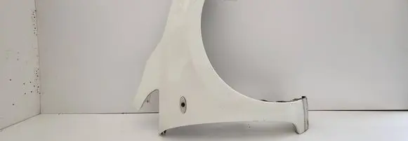 Nissan Leaf I (ZE0) Fender