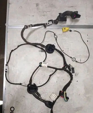 Front door wiring loom