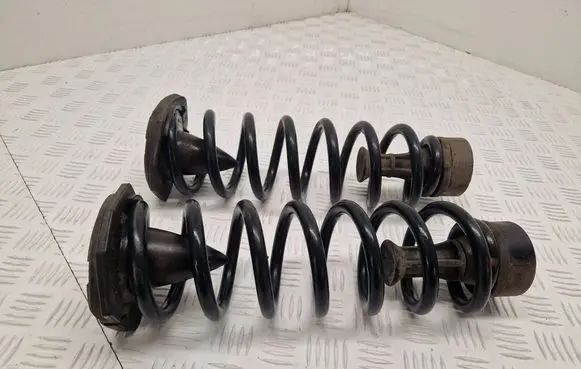 Renault Scenic IV - Grand scenic IV Rear coil spring 