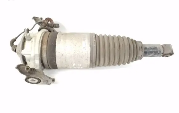 Porsche Cayenne (92A) Rear shock absorber/damper 7P5616019N