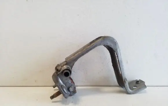 Renault Trafic III (X82) Loading door check strap stopper 824302173R