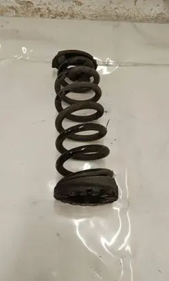 Land Rover Discovery Sport Rear coil spring FK725B749FB
