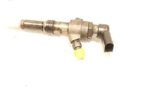 Citroen C3 Fuel injector
