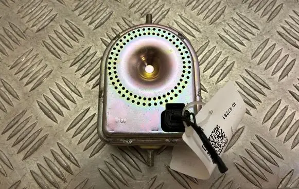 Alarm system siren