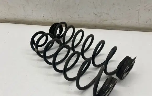 Rear coil spring