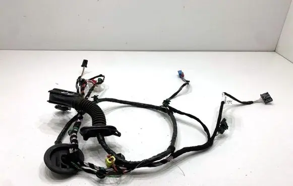 Volkswagen PASSAT B8 Front door wiring loom 3G1971121DK
