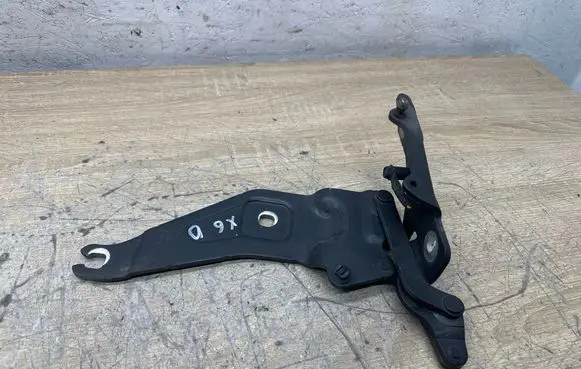 BMW X6 E71 Engine bonnet/hood hinges 7208628