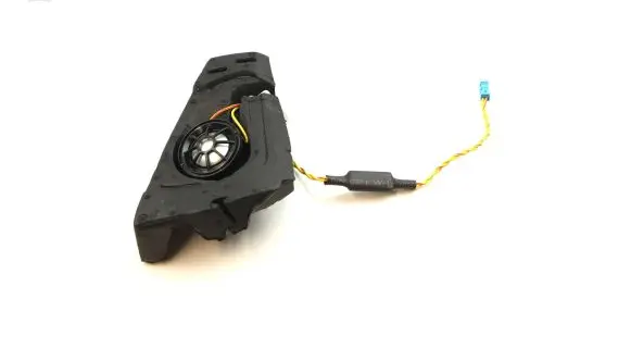 Front door high frequency speaker