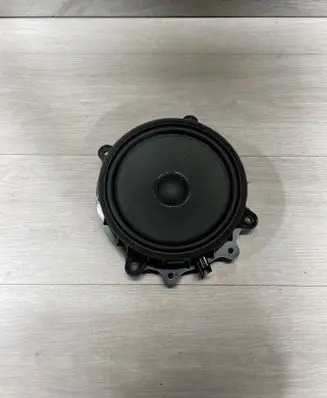 Tesla Model 3 Front door speaker 107974400E