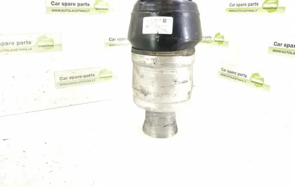 Mercedes-Benz GLE (W166 - C292) Air suspension front shock absorber DALISID4834 1663206813 1663207213